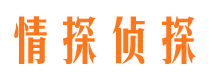 德安市调查公司